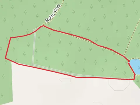 Rathwood Honeypot Nature Trail