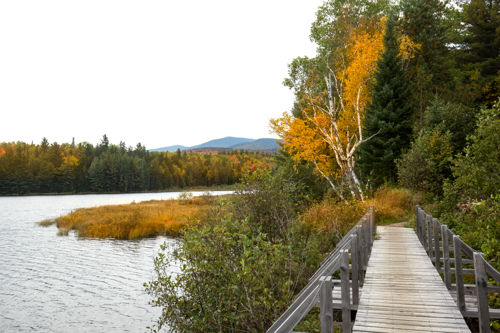 An image depicting the trail Maine Hut Trail and its surrounding area.