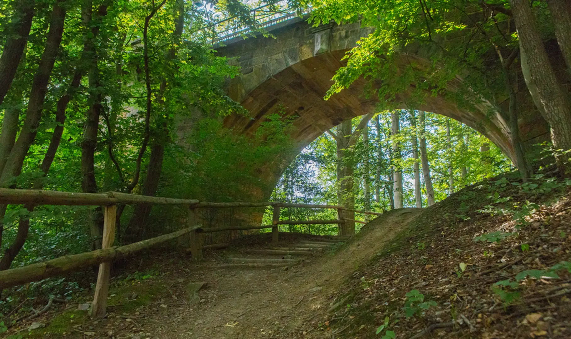 An image depicting the trail Gutspark Seeben, Trithaer Teich and Spieberg Nordblick via Naturlehrpfad and its surrounding area.