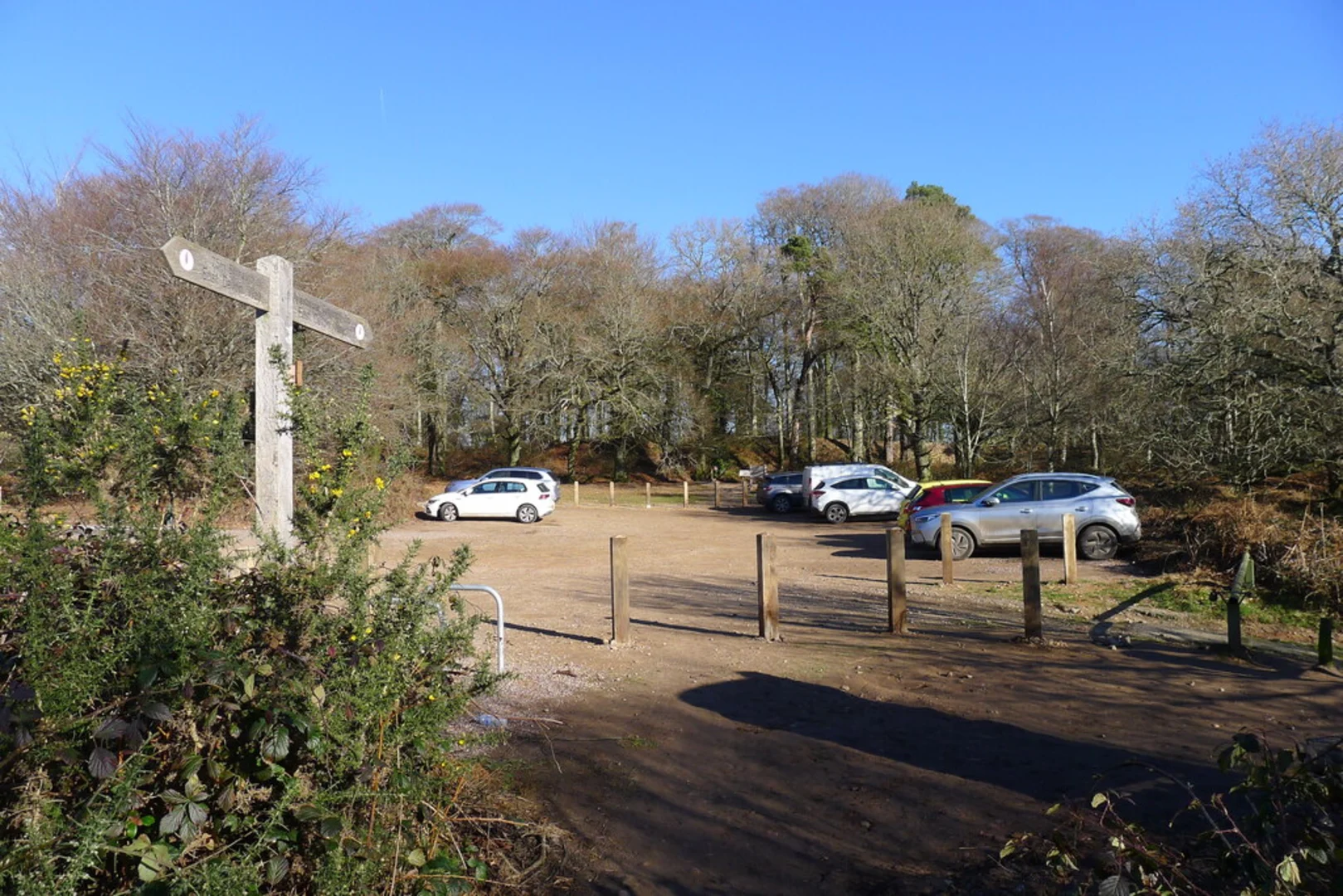 An image depicting the trail Woodbury Common, Colaton Raleign Common and Kettle Plantation Loop and its surrounding area.