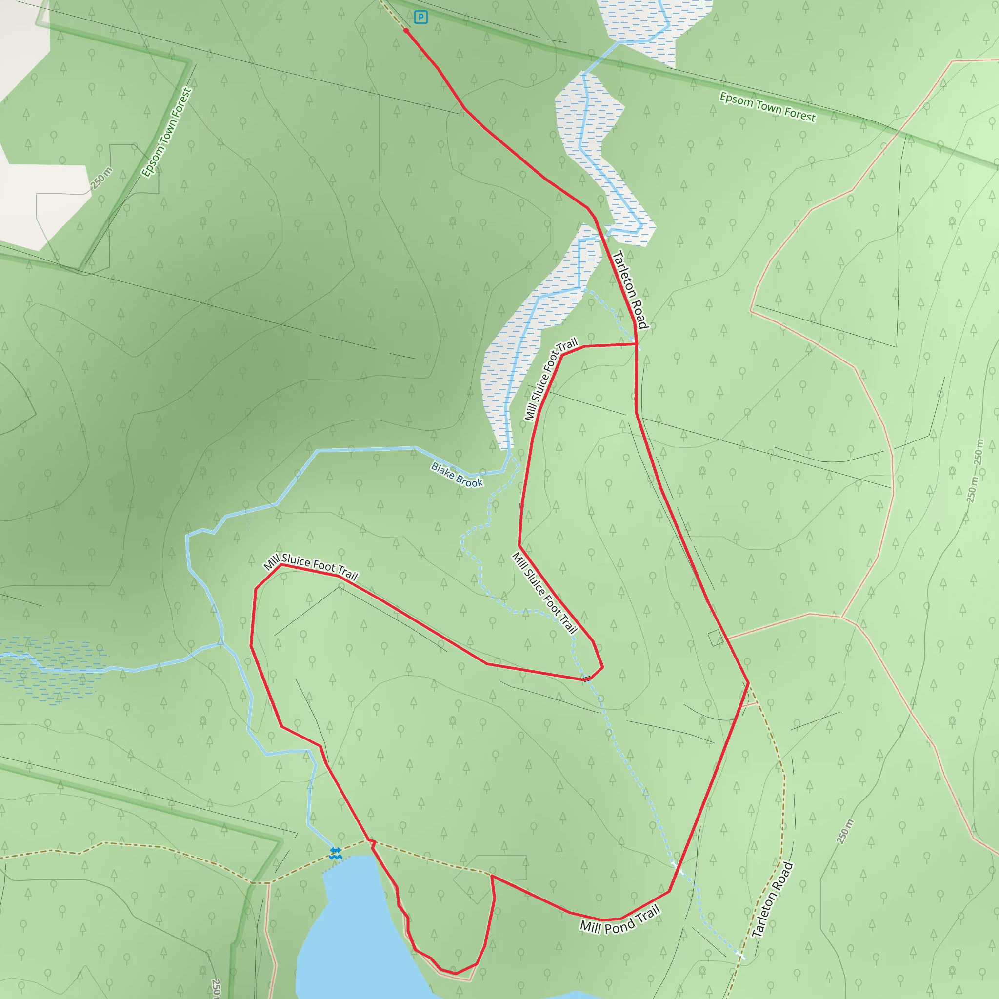 Mill Sluice Foot Loop Trail mobile static map