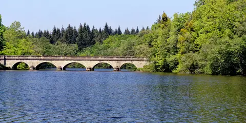 An image depicting the trail Virginia Water and The Wentworth Estate and its surrounding area.