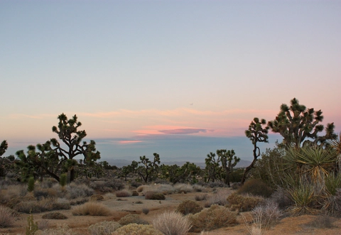 An image depicting the trail Short Loop via West Side Trail and its surrounding area.