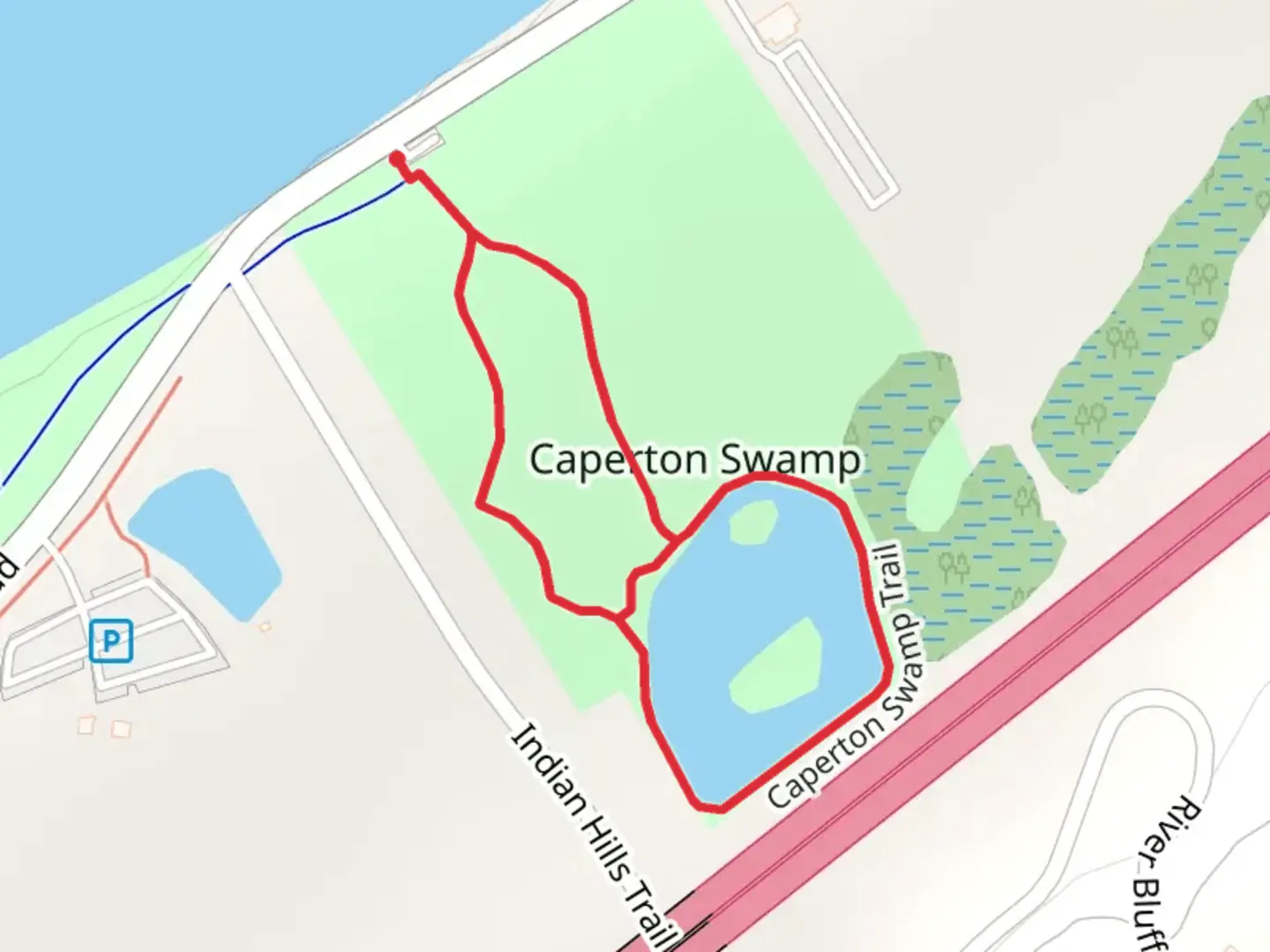 An image depicting the trail Caperton Swamp Loop and its surrounding area.