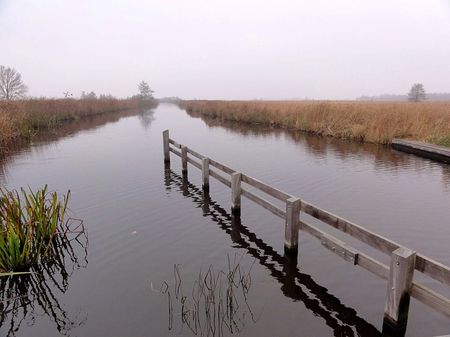An image depicting the trail Carolinahoeve via WaterReijkpad and its surrounding area.