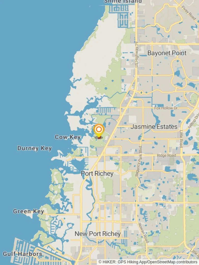 An image depicting the trail Salt Springs and its surrounding area.