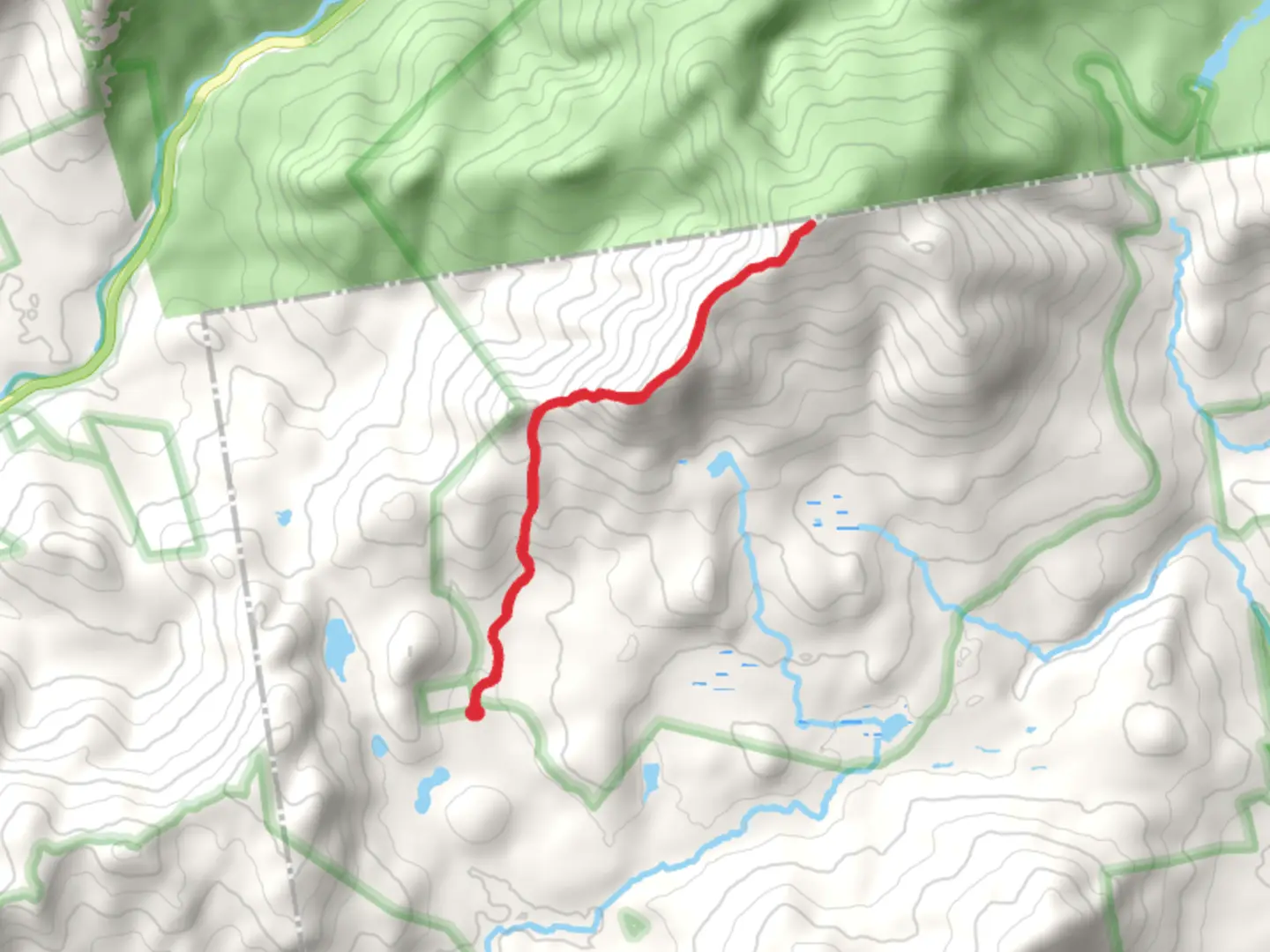An image depicting the trail Black Mountain and Sandwich Mountain Trail and its surrounding area.