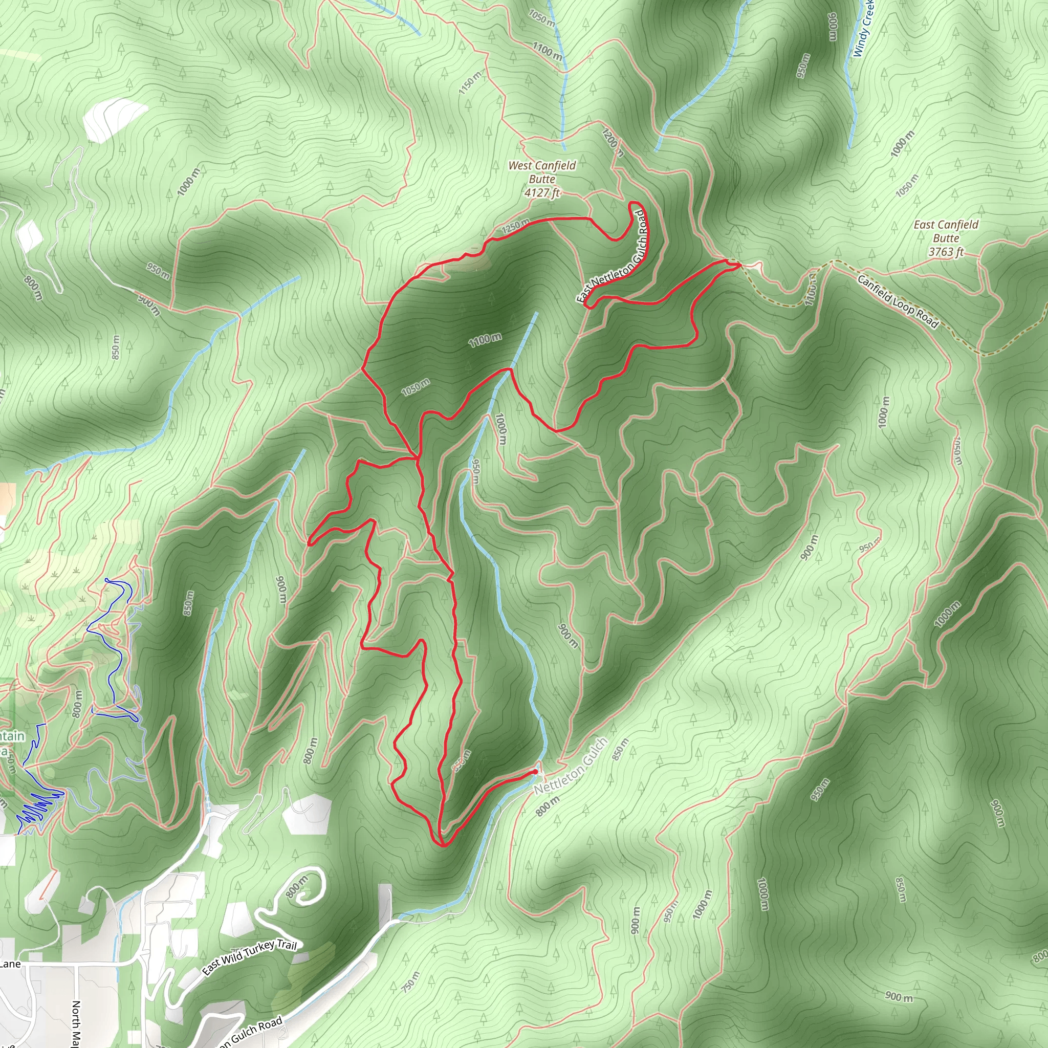 Trail 1 and 3 Loop - West Canfield Butte mobile static map