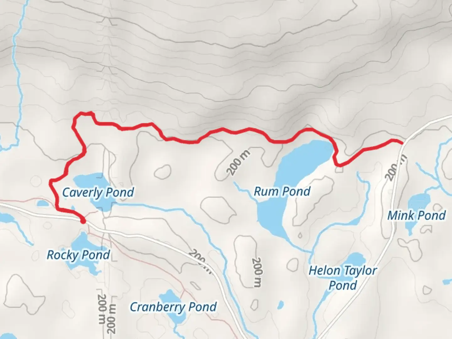 An image depicting the trail Rum Pond Trail and its surrounding area.