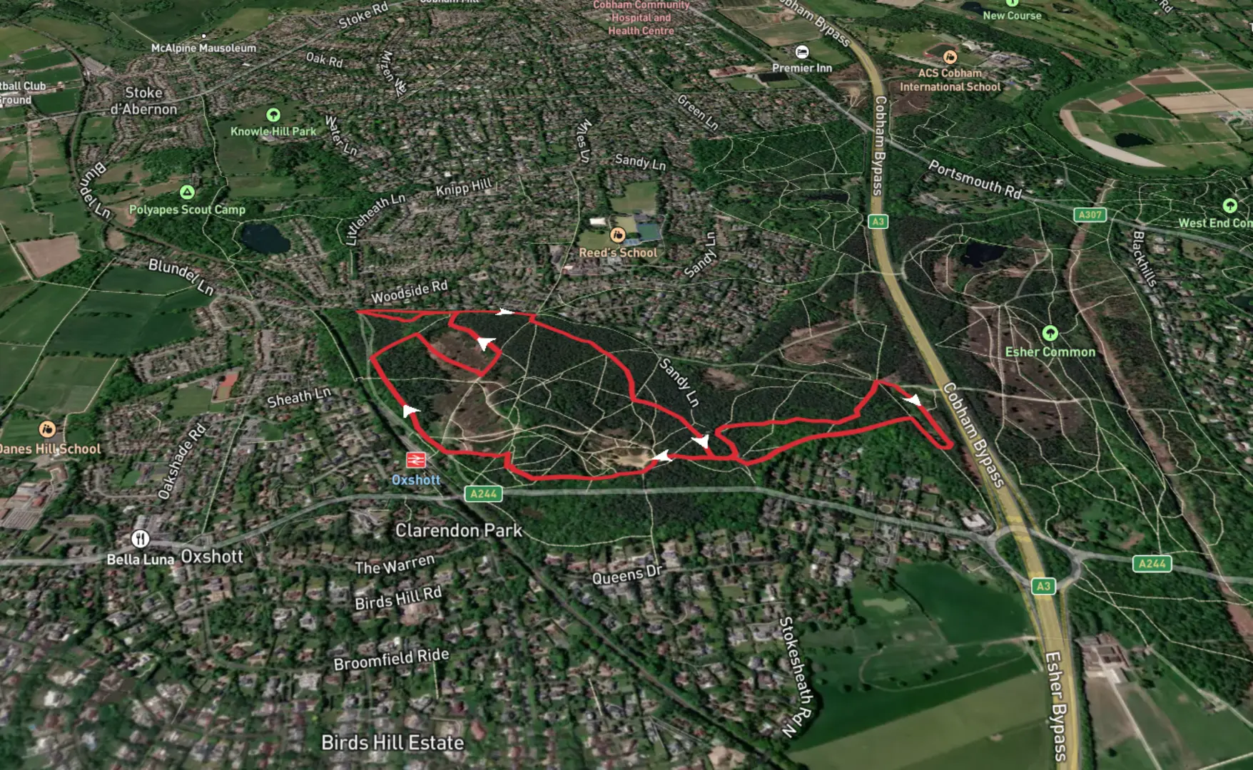 An image depicting the trail Oxshott Heath Loop and its surrounding area.