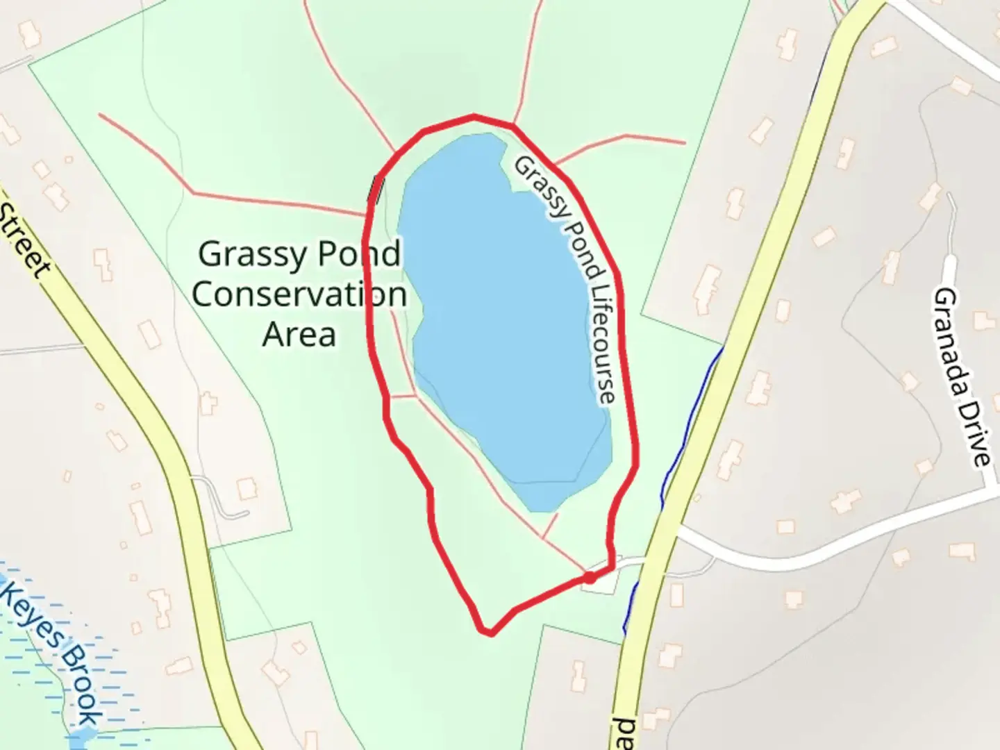 An image depicting the trail Grassy Pond via Grassy Pond Lifecourse and its surrounding area.