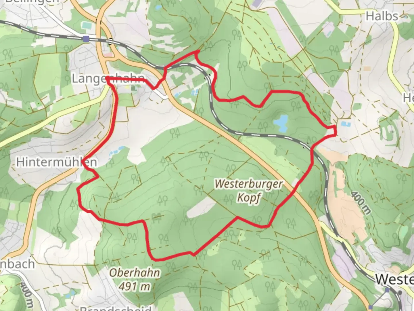 An image depicting the trail Langenhahn, Roter Kopf, Geisenwald Loop and its surrounding area.