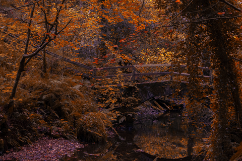 Dun a Ri - Village Walk