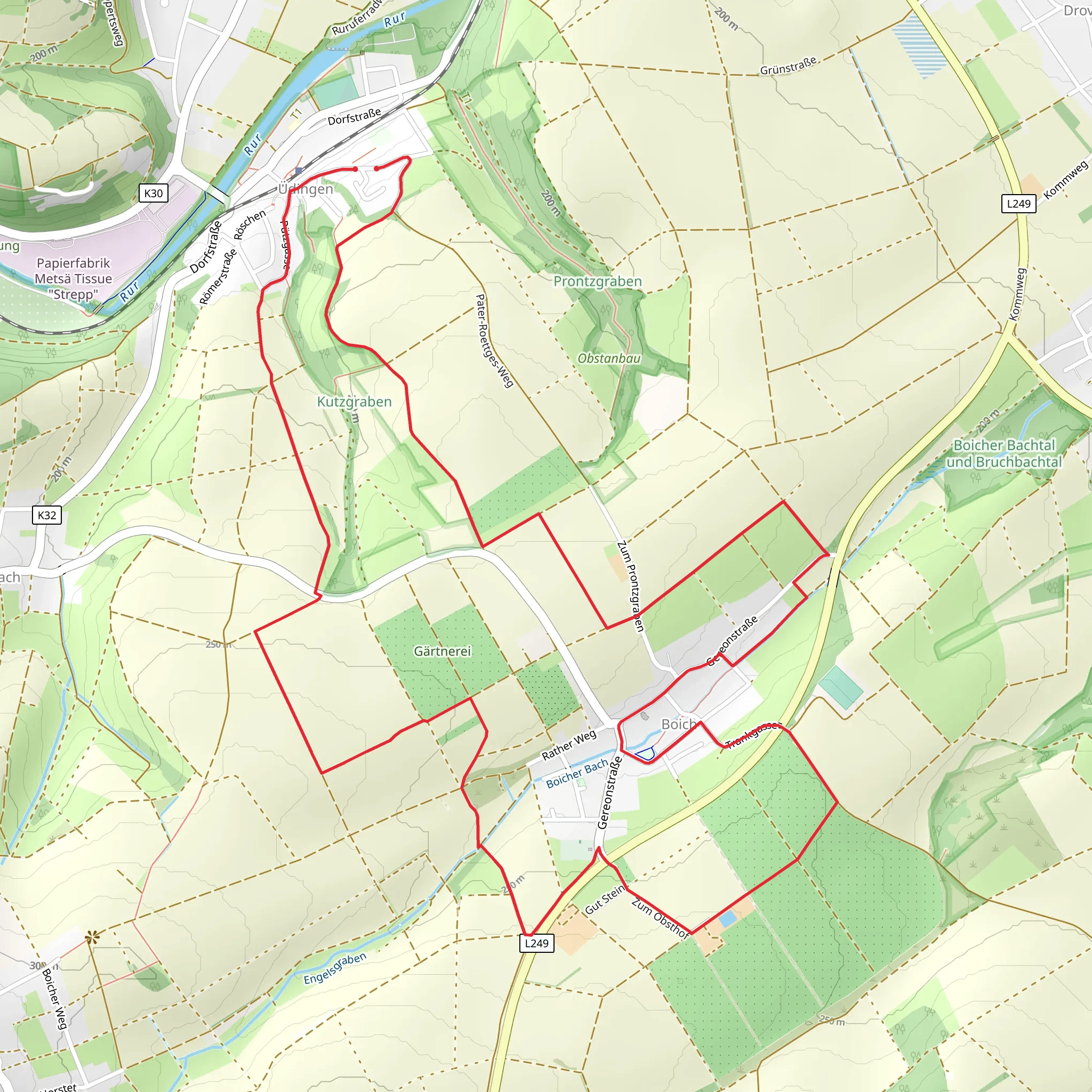 Üdingen to Boich Loop mobile static map