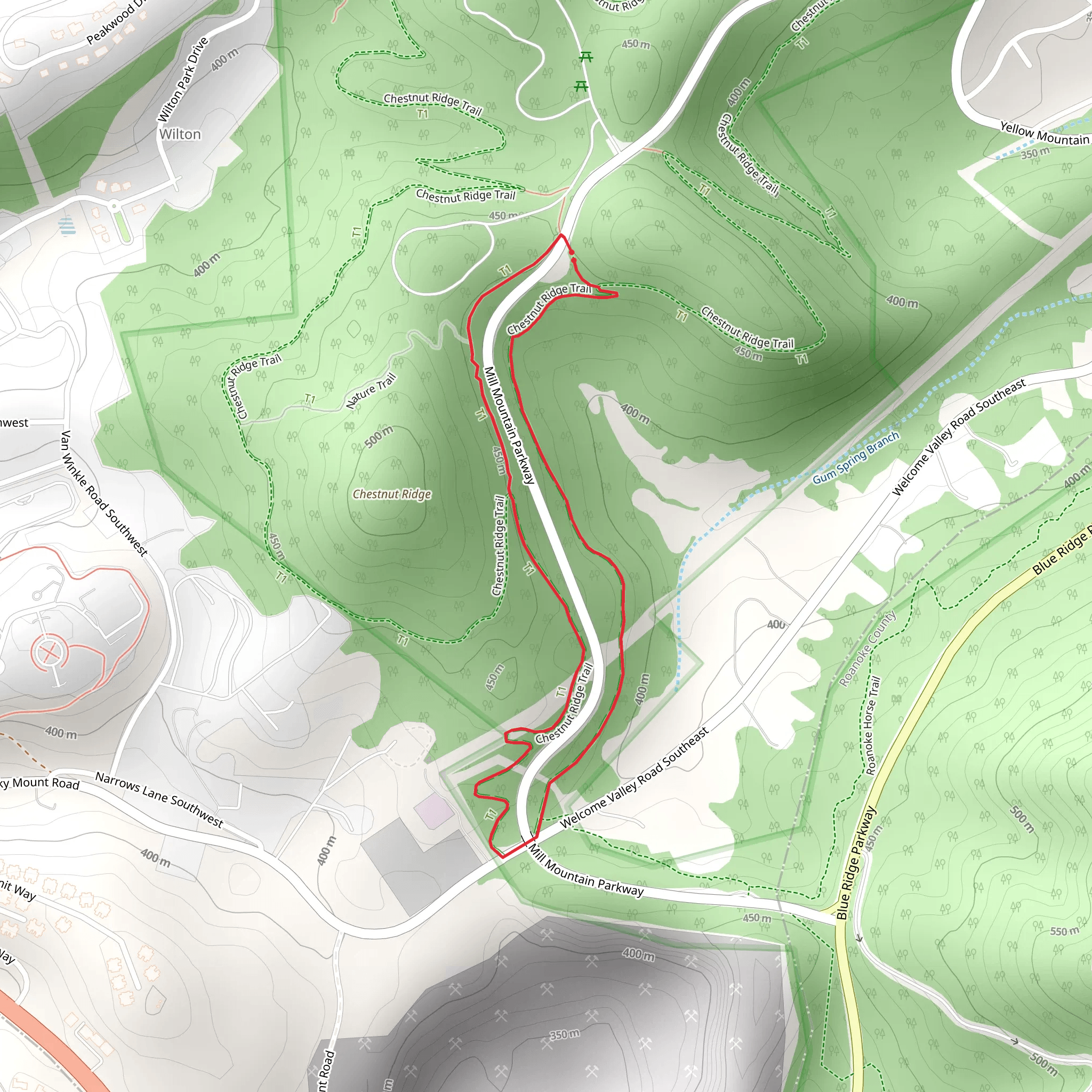 Mill Mountain Parkway and Welcome Valley Road Southeast Loop mobile static map