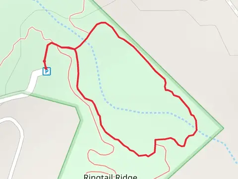 Ringtail Ridge Greenspace Access Road Loop