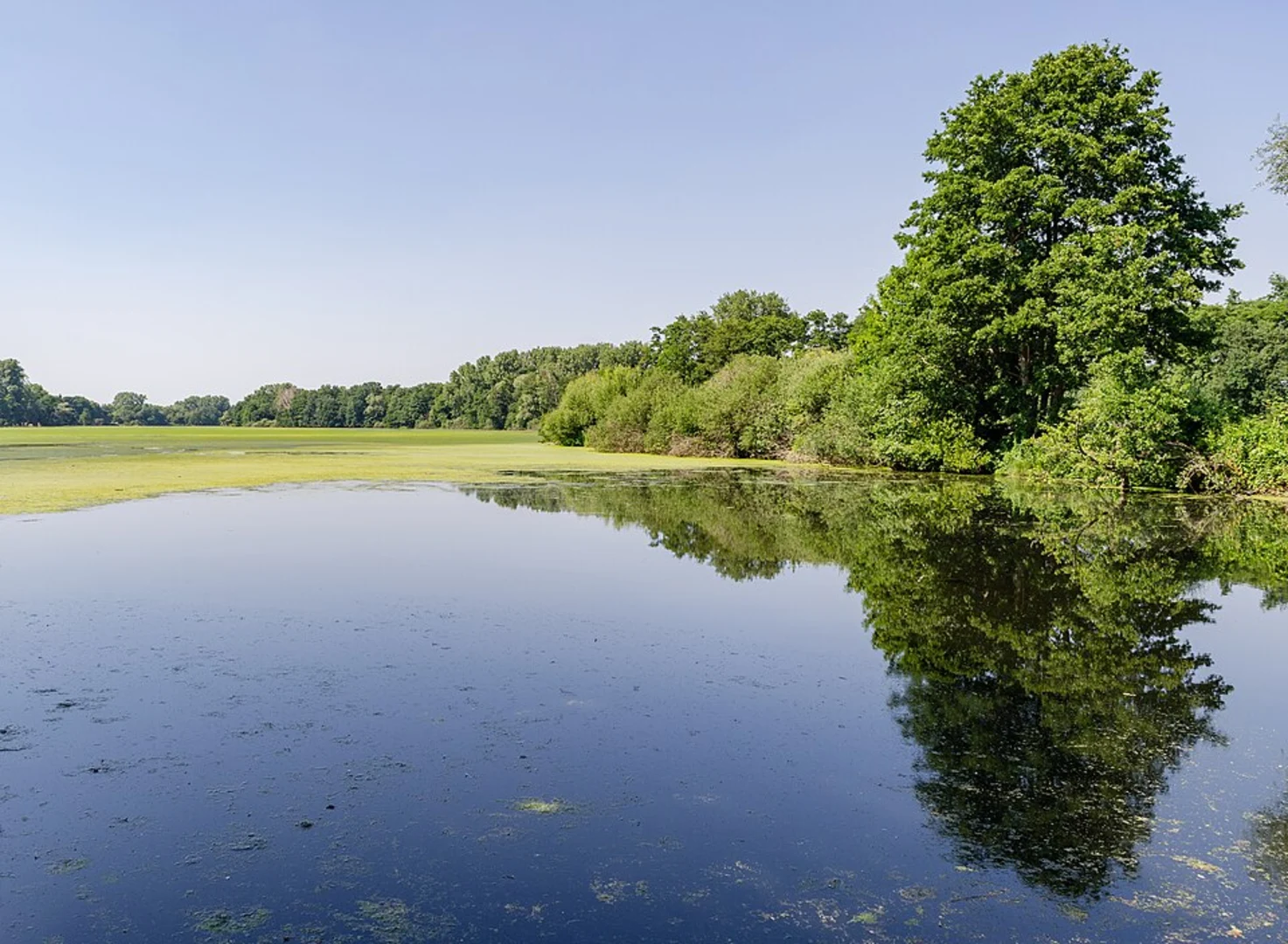 An image depicting the trail Windmühlenbruch and De Wittsee via Nette Seen and its surrounding area.