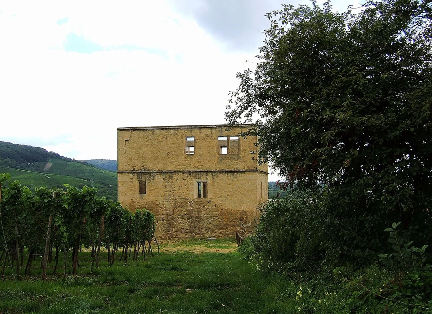 An image depicting the trail Yburg Rundweg and its surrounding area.
