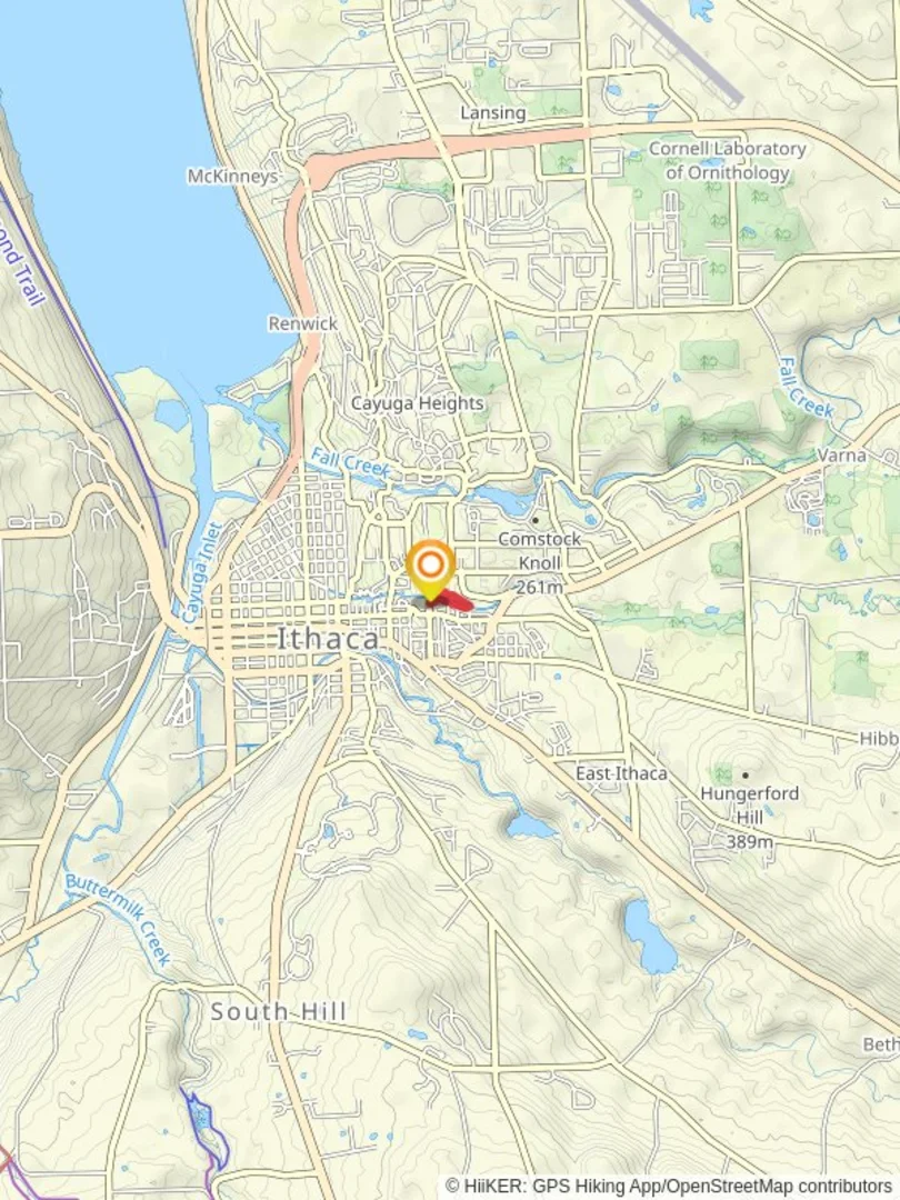 An image depicting the trail Cascadilla Gorge Trail Loop and its surrounding area.