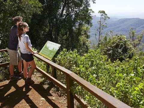 An image depicting the trail Winder Track and its surrounding area.