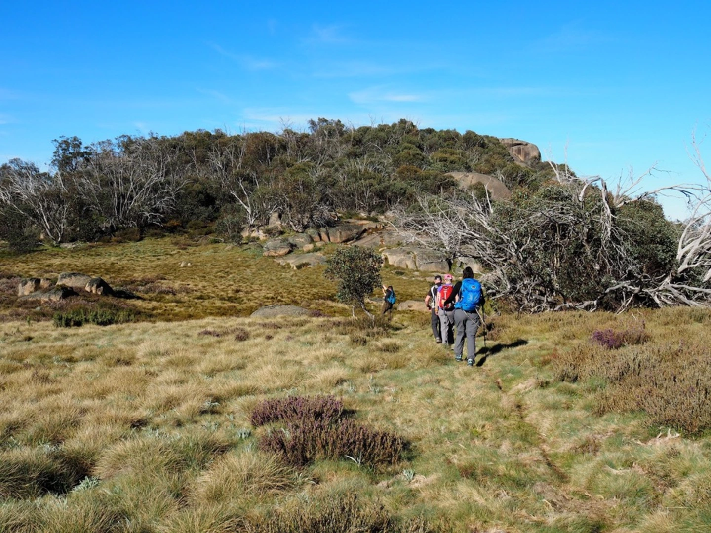 An image depicting the trail Mount Dunn and Macs Point Trail and its surrounding area.