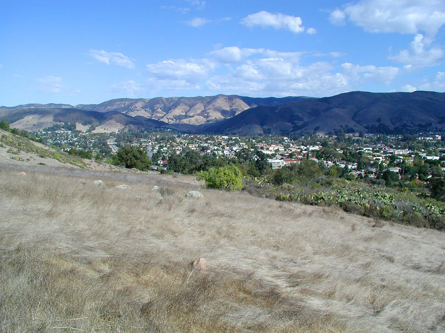 An image depicting the trail Cerro San Luis Obispo and Lemon Grove Loop and its surrounding area.