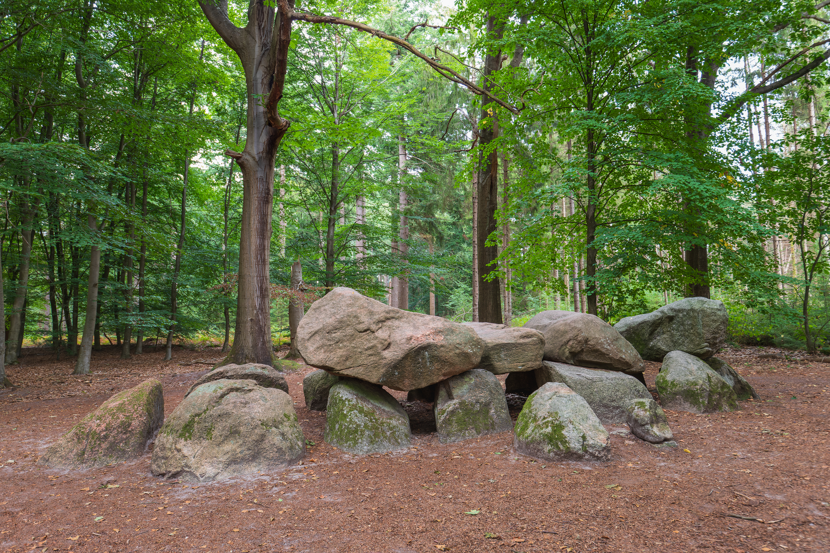 An image depicting the trail Gagelveen and Boswachterij Anloo Loop and its surrounding area.