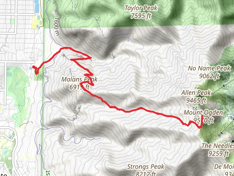 Malans Peak and Mount Ogden via Malans Basin Trail