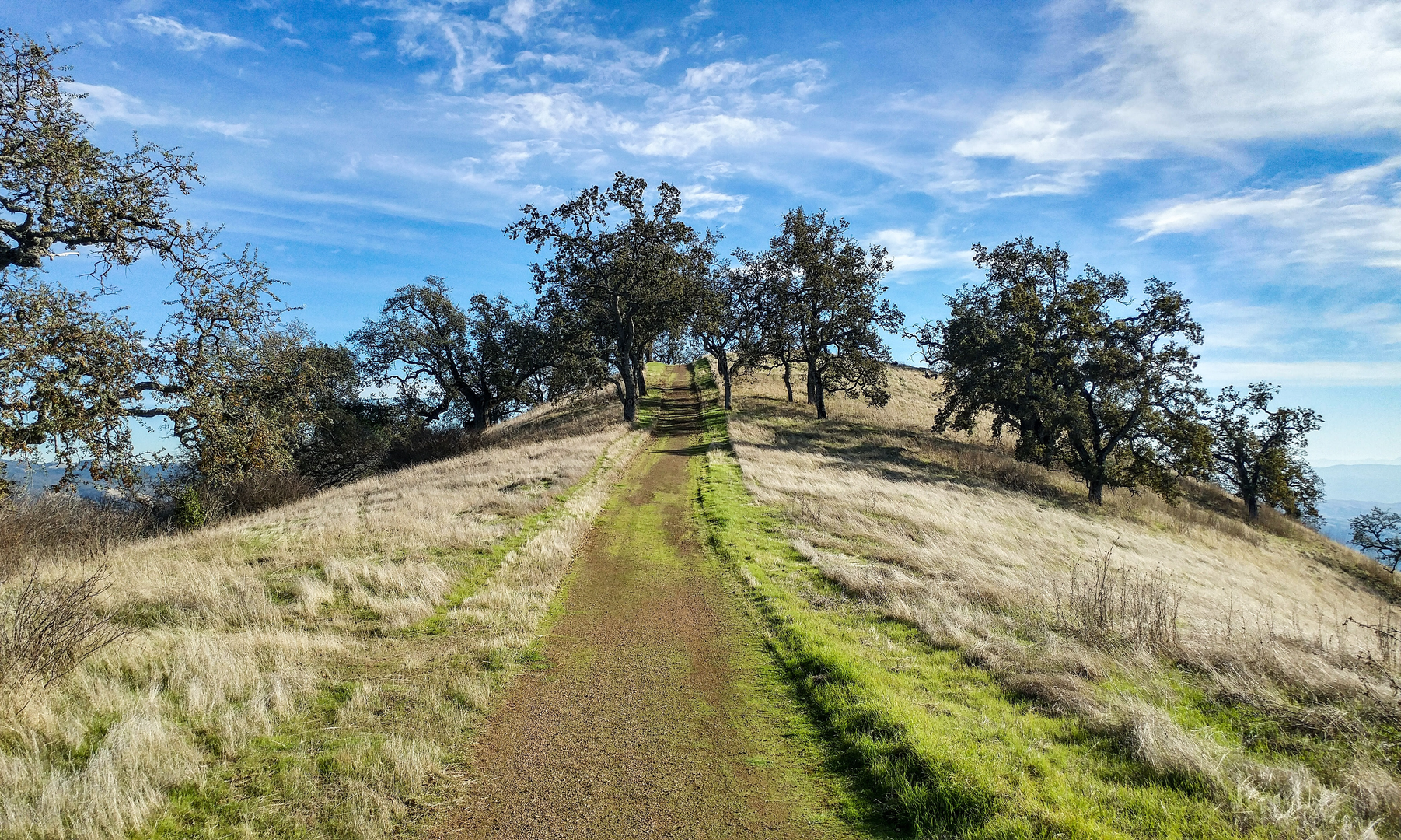 An image depicting the trail Hotel and Yerba Buena Loop Trail and its surrounding area.