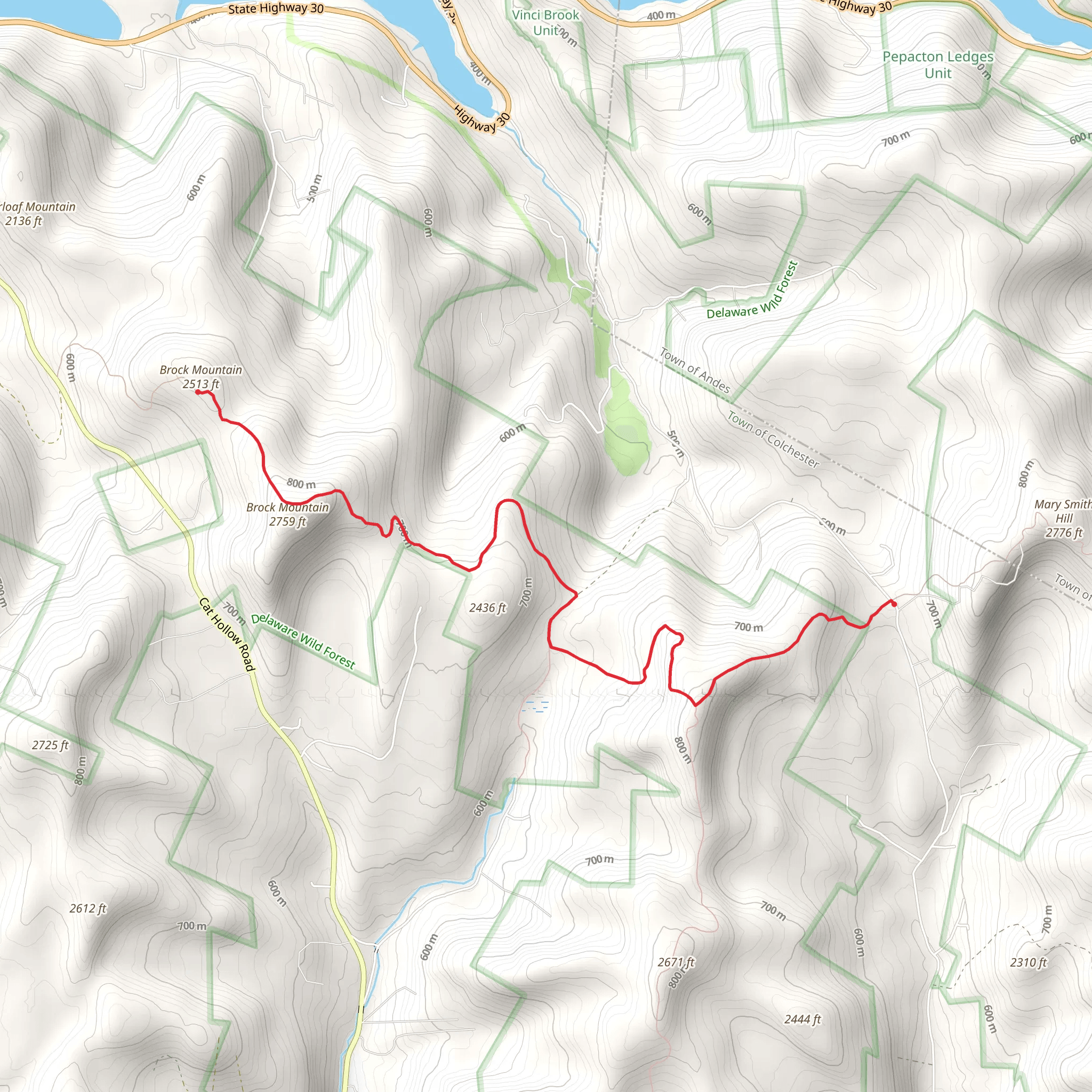 Brock Mountain from Holiday Brook Road mobile static map