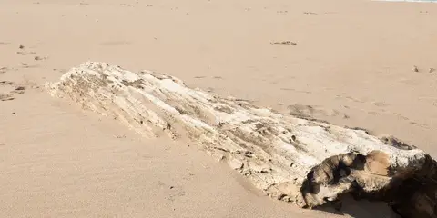 An image depicting the trail Sheigra to Sandwood Bay Loop via Lochan na Gainimh and its surrounding area.