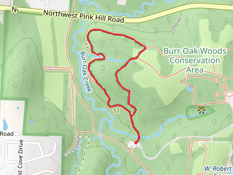 Bethany Falls Loop Trail