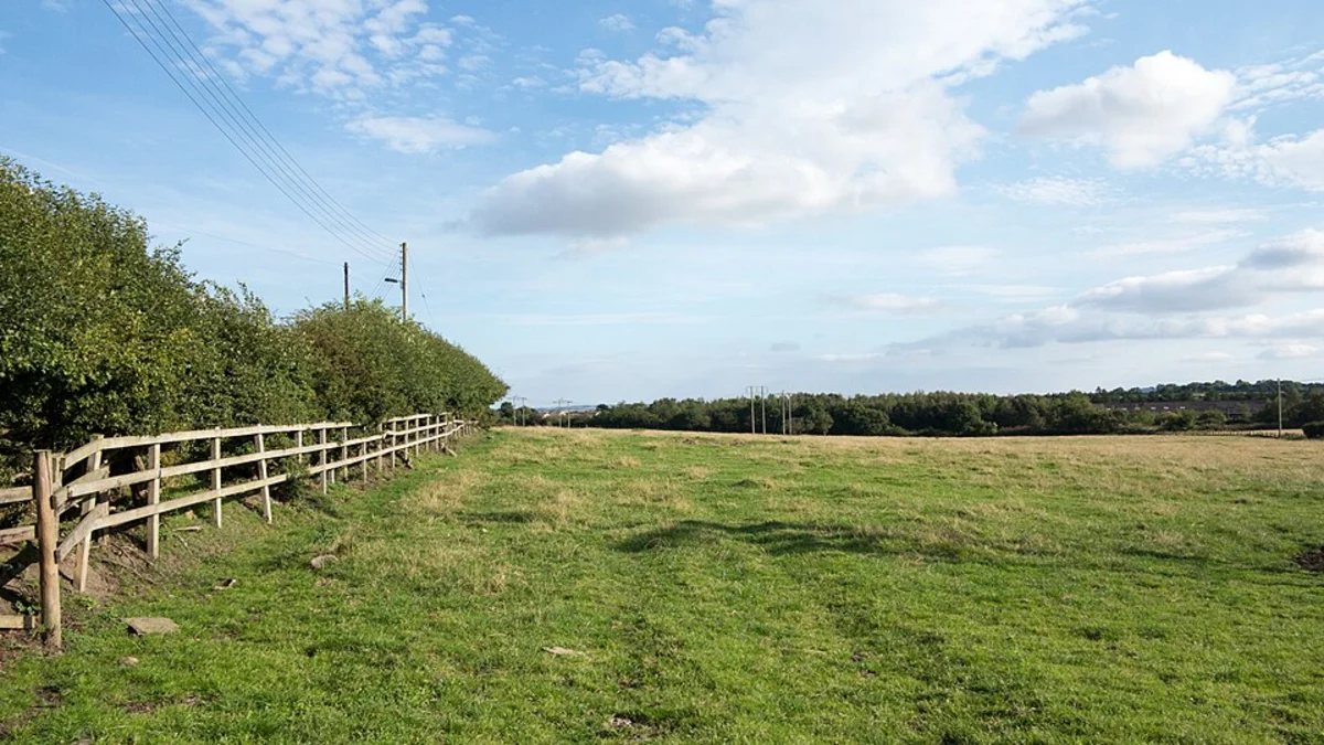 Pelton Country Park Loop