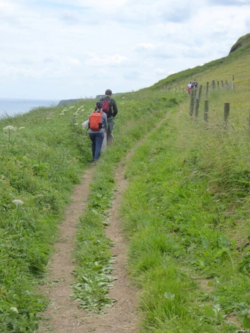 An image depicting the trail Robin Hood's Bay and Whitby Loop via Cock Mill Wood and its surrounding area.