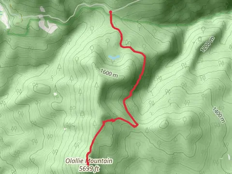 Olallie Mountain