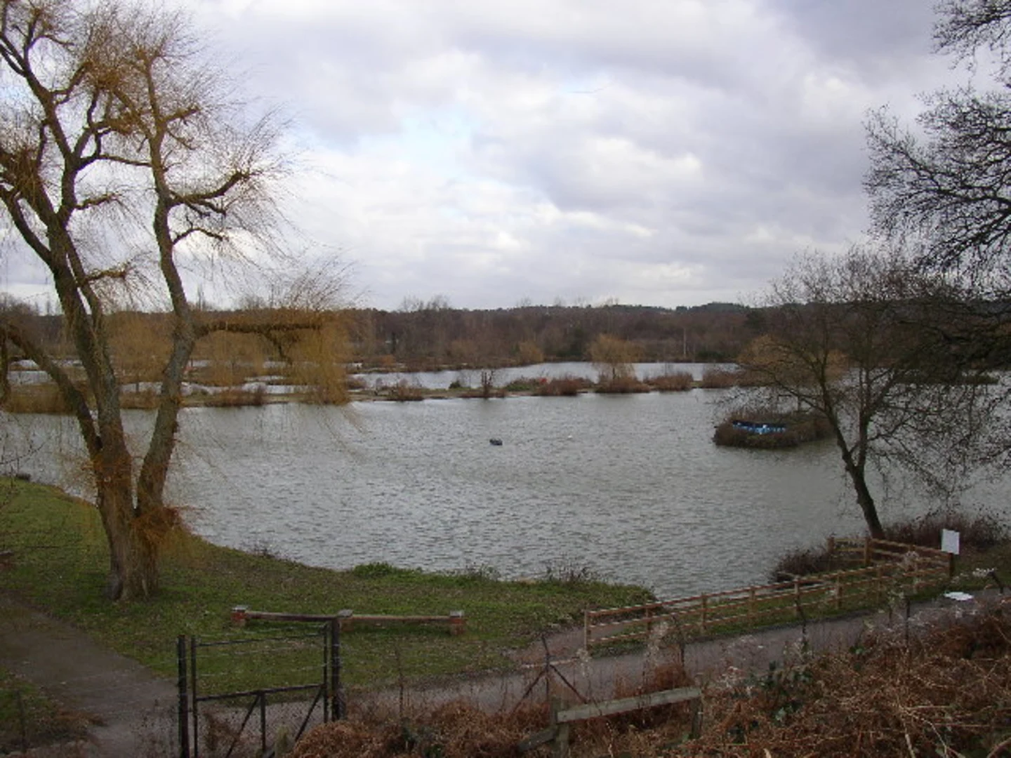 An image depicting the trail Gold Valley Lakeside Nature Reserve Loop and its surrounding area.