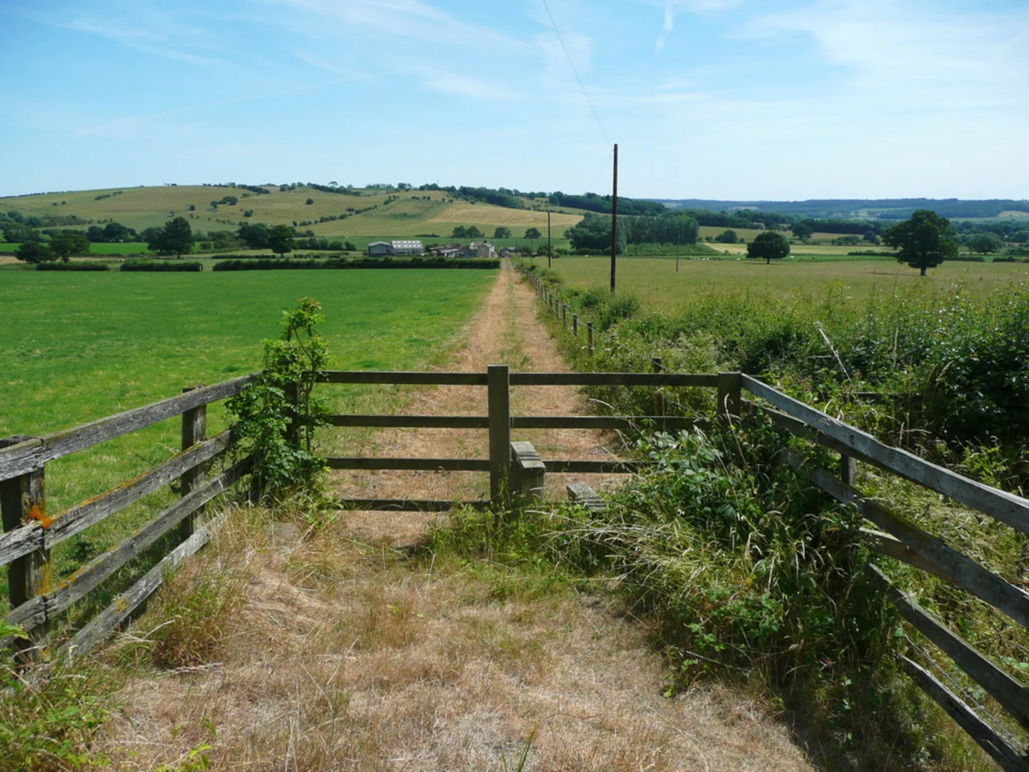 An image depicting the trail Beacon Plantation and Low Moor Loop and its surrounding area.