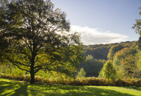 Afrika Museum, Duivelsberg and Wylerbergmeer Loop