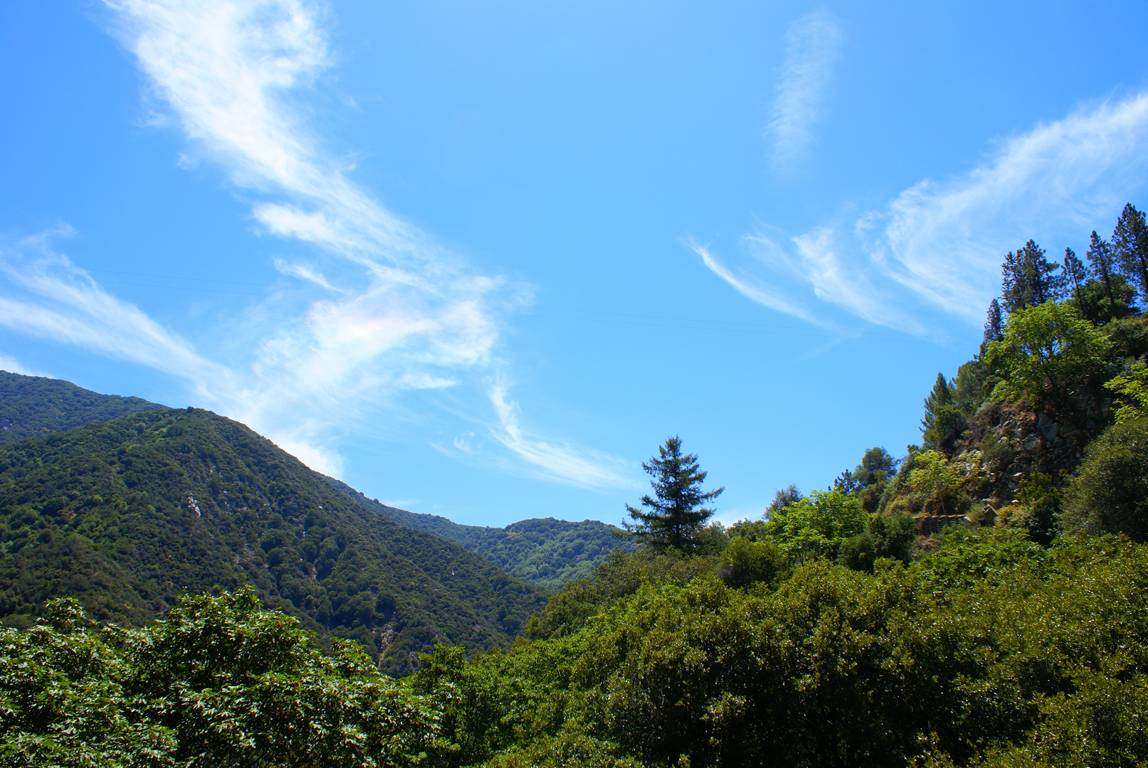 An image depicting the trail Gabrielino NRT, Upper Winter Trail and Big Santa Anita Creek Loop and its surrounding area.
