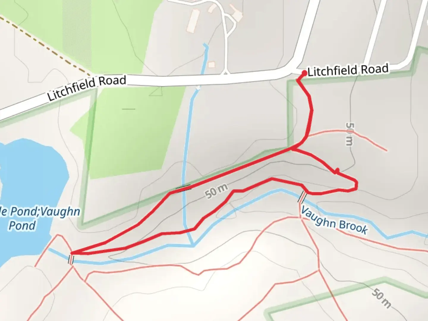 An image depicting the trail Vaughn Brook Loop and its surrounding area.