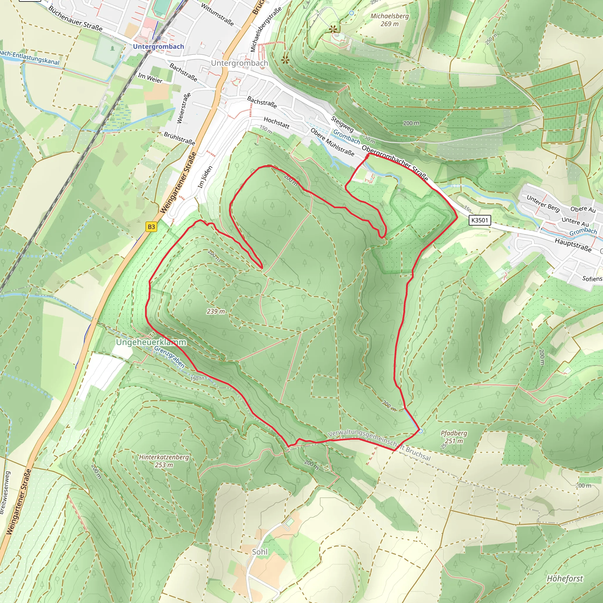 Bergwald mobile static map