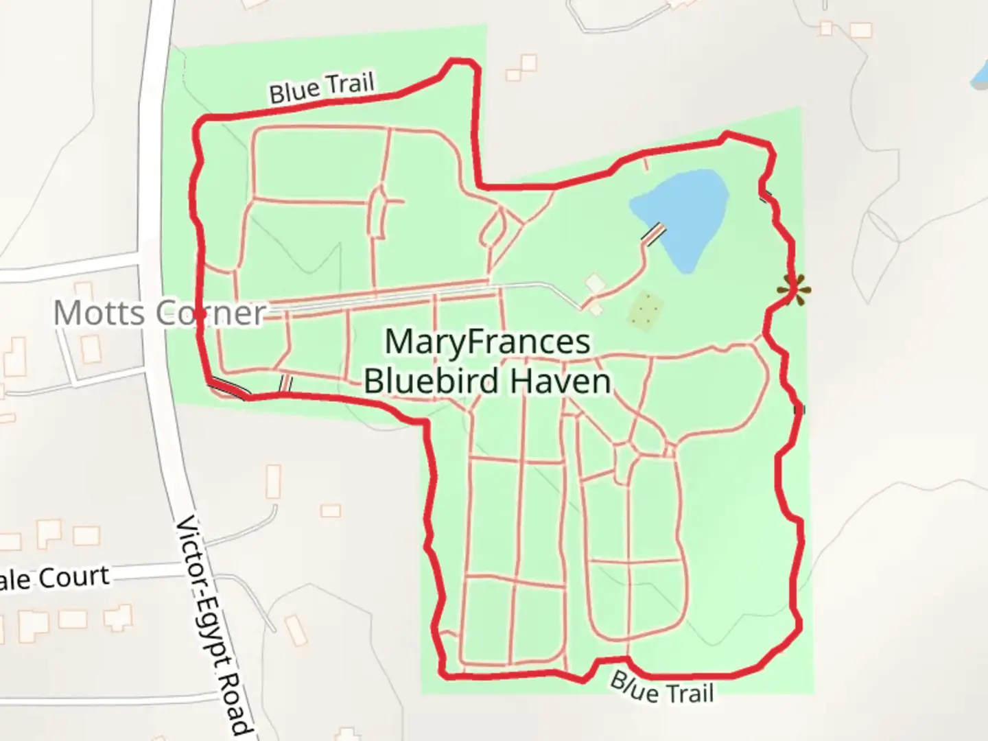 An image depicting the trail MaryFrances Bluebird Haven Loop Trail and its surrounding area.