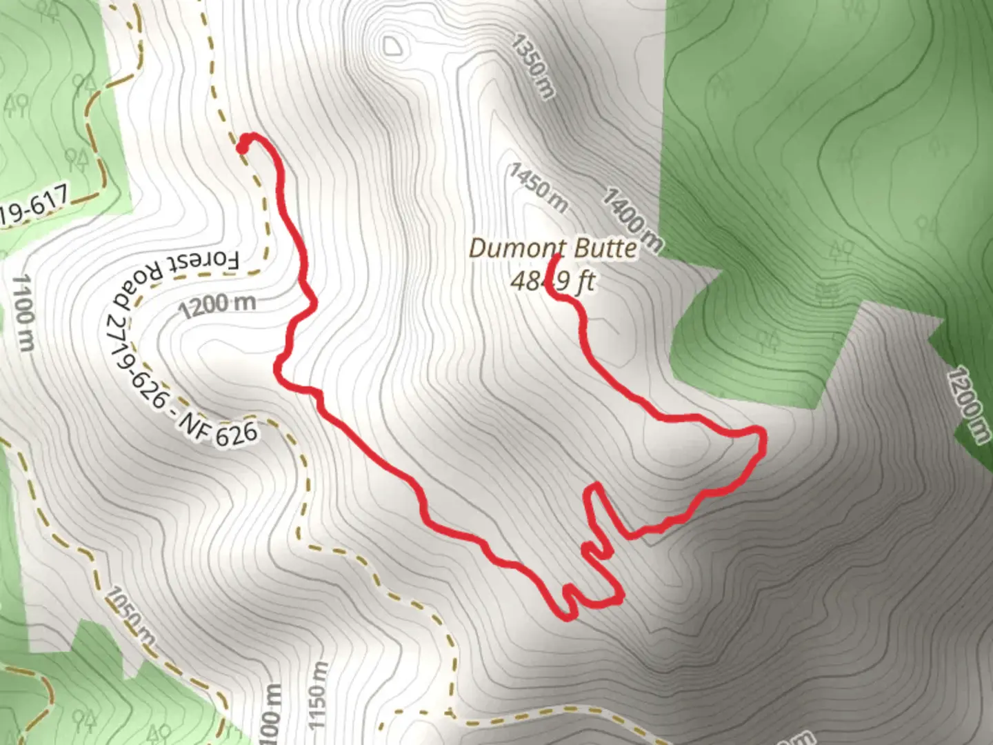 An image depicting the trail Big Squaw Trail and its surrounding area.