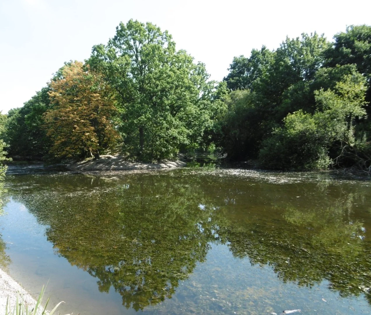 An image depicting the trail Heronry Pond, Wanstead Park and Ornamental Water and its surrounding area.