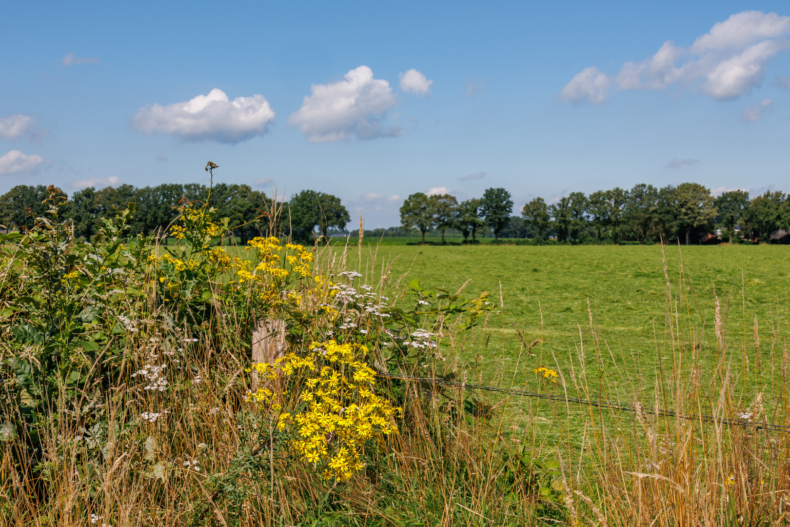An image depicting the trail Kaapdijk, Kooiveldlaan and Hietland Loop and its surrounding area.