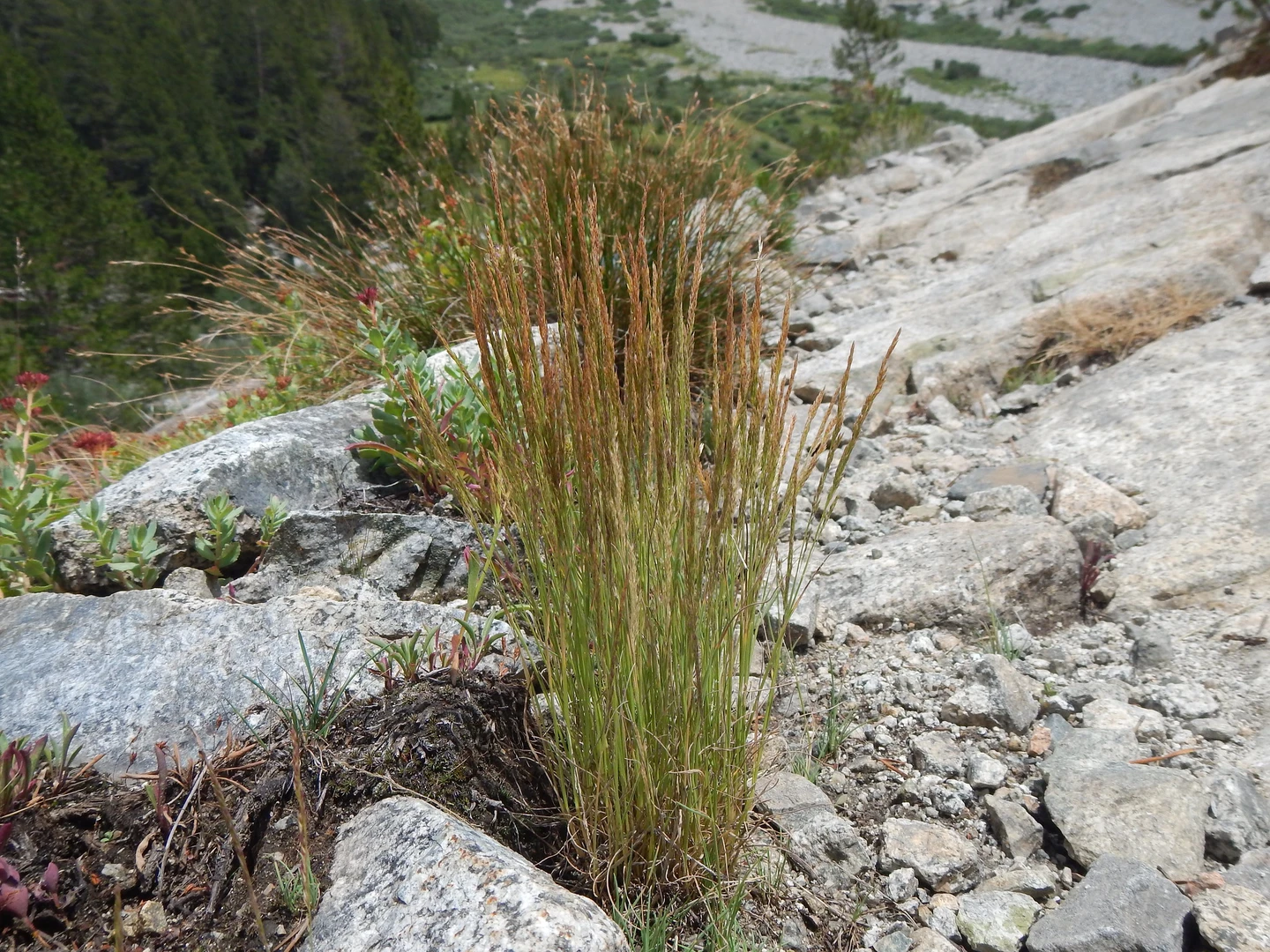 An image depicting the trail Baxter Pass Trail and its surrounding area.