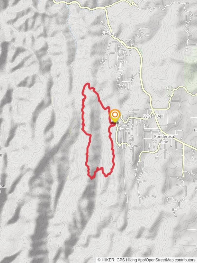 An image depicting the trail West Boundary and Turkey Trot Loop and its surrounding area.