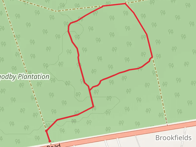 Osgodby Plantation Short Loop