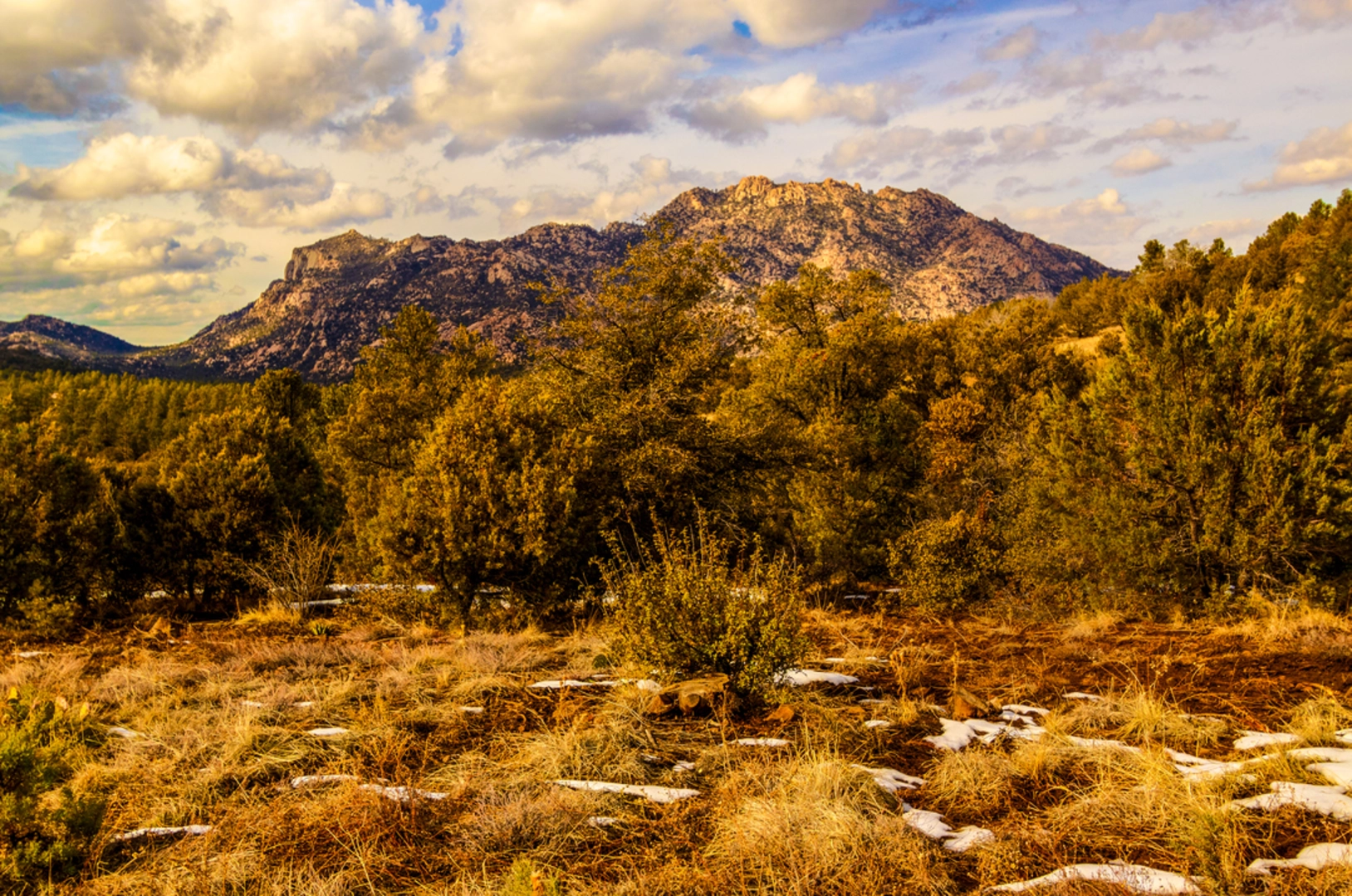An image depicting the trail Mint Wash Trail and its surrounding area.