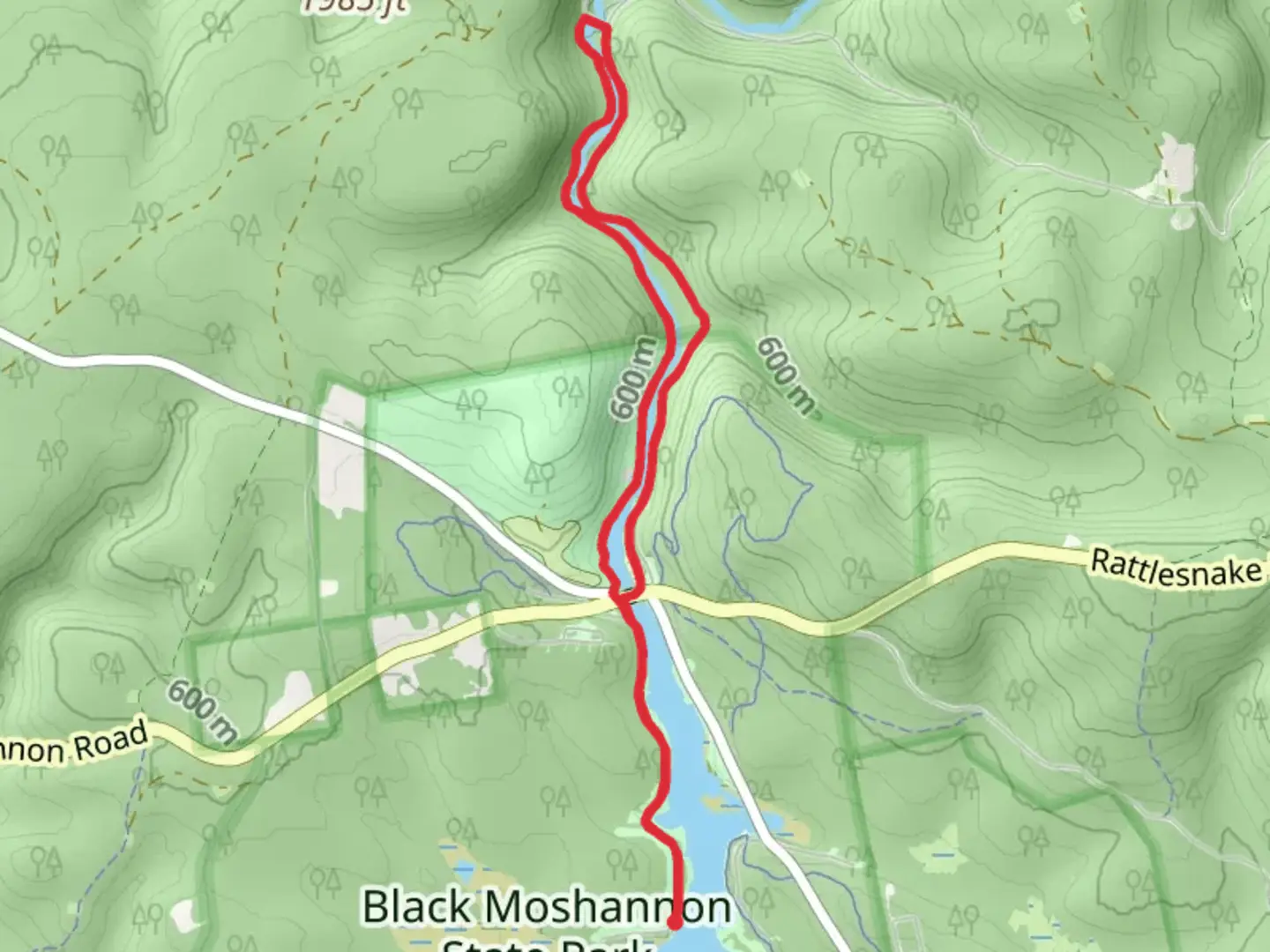 An image depicting the trail Black Moshannon Trail and its surrounding area.